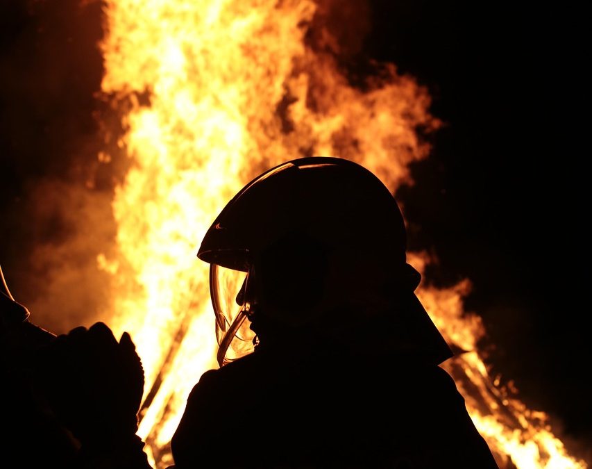 Dinas Damkar Pulang Pisau Hapus Sarang Tawon di Terminal