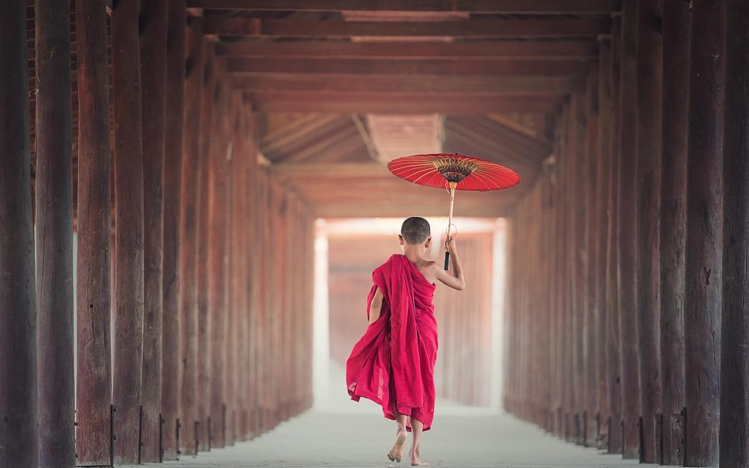 Dinas Damkar Pulang Pisau Hapus Sarang Tawon di Pelabuhan